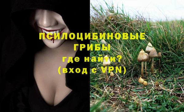 гашиш Алзамай