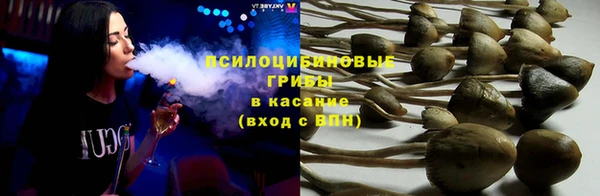 гашик Алексеевка