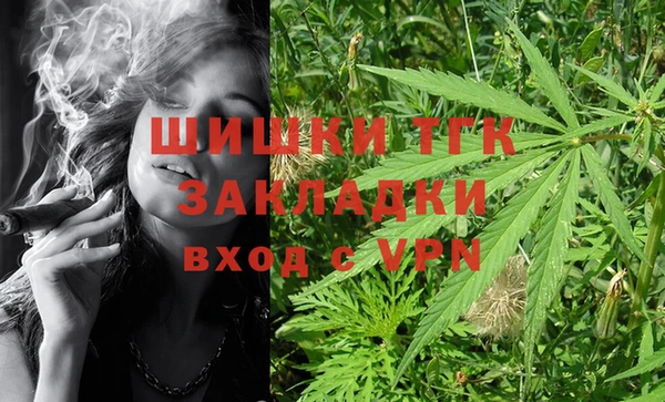 гашик Алексеевка